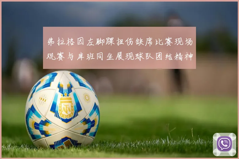 弗拉格因左脚踝扭伤缺席比赛现场观赛与库班同坐展现球队团结精神